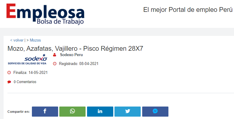 Mozo, Azafatas, Vajillero - Pisco Régimen 28X7