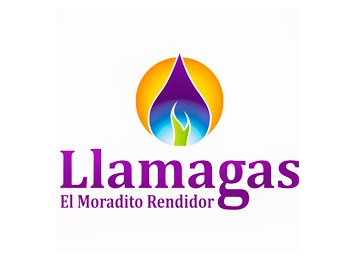 Conductor Vendedor de Gas Envasado A2B - A4 - Planta Llamagas - Independencia